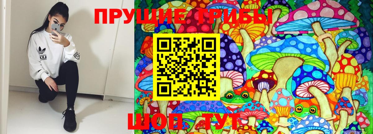 Реутов  купить закладку  Вход с VPN  Псилоцибиновые грибы GOLDEN TEACHER 